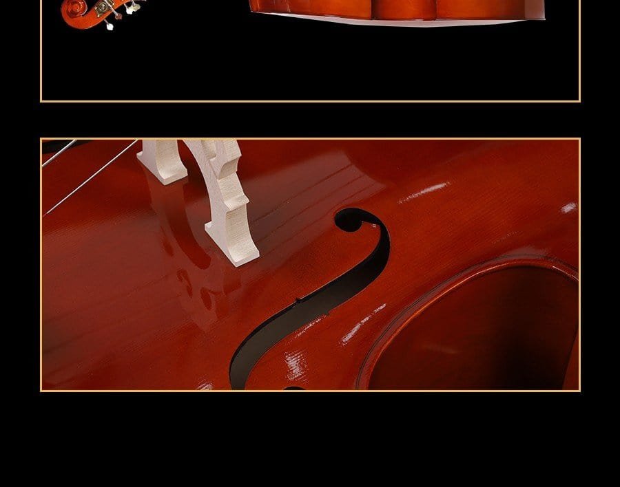 double bass for sale