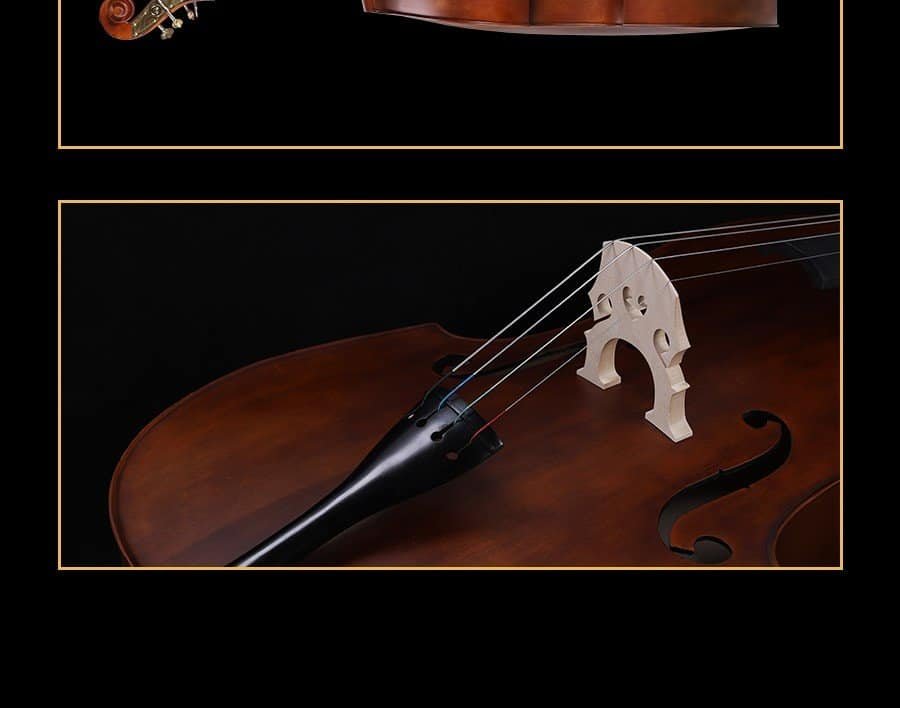 best upright bass