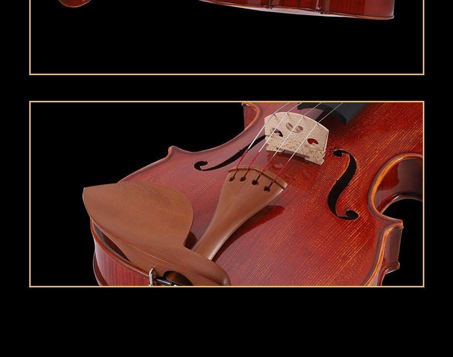 most expensive viola