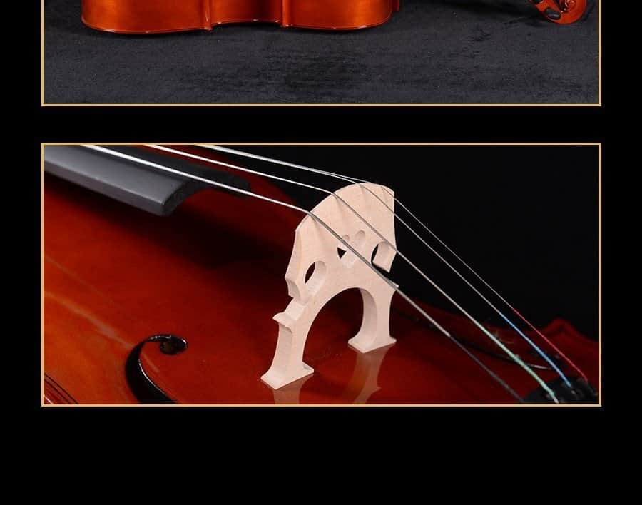 beginner cello for sale