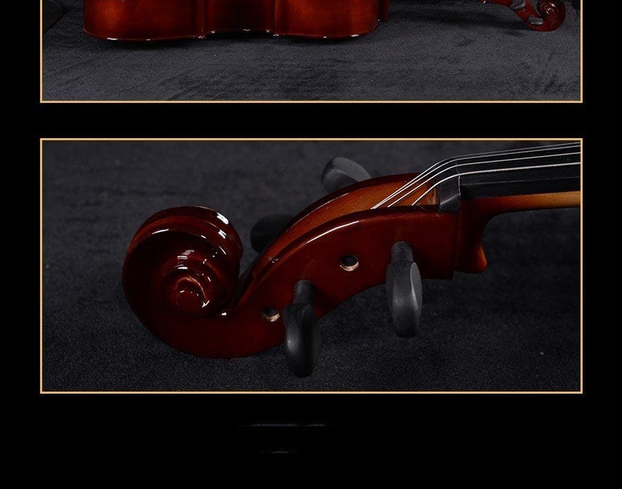 cello bass instrument