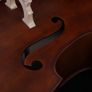 best upright bass