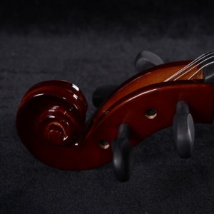 double bass instrument