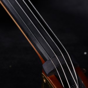 string bass instrument