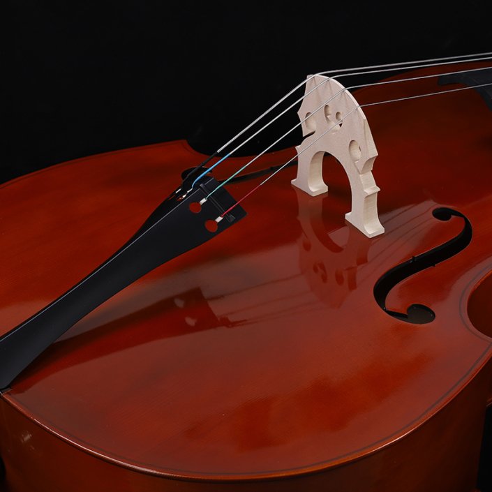 Double Bass Price