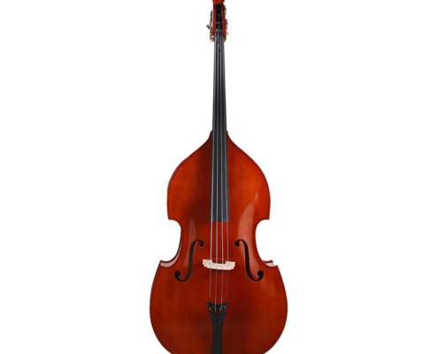 Double Bass For Sale