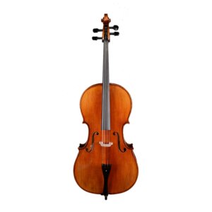 cello musical instrument