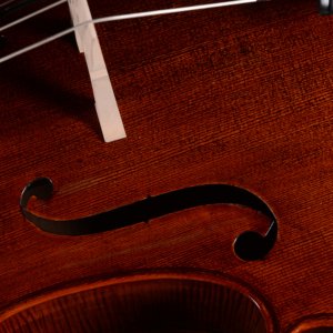 best cello for professional