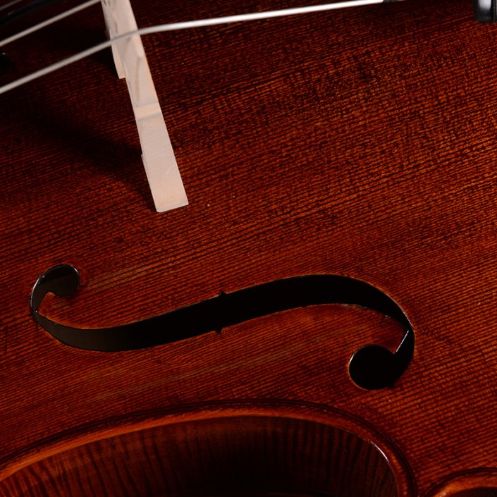 best cello for professional