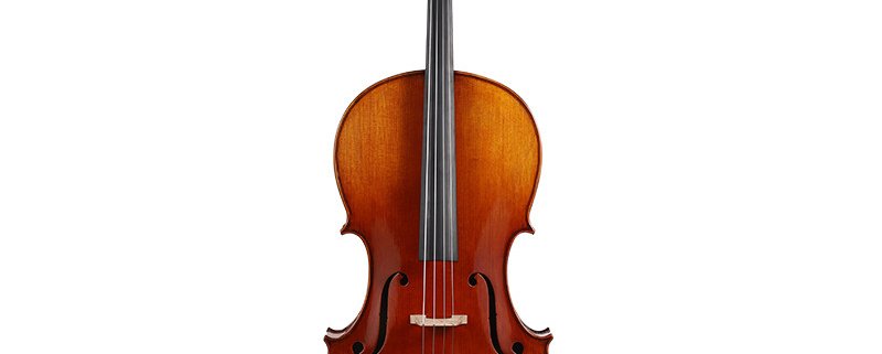 Violonchelo Profesional