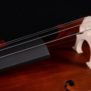 prix du violoncelle