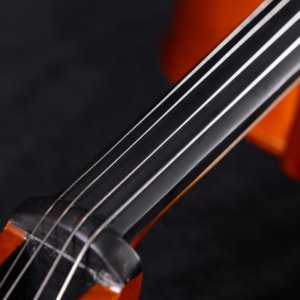 double bass price