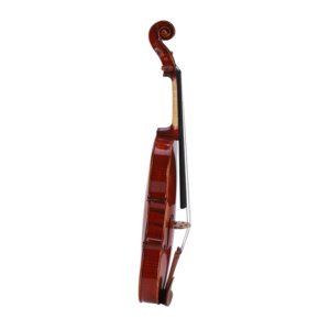 15 inch Viola Price