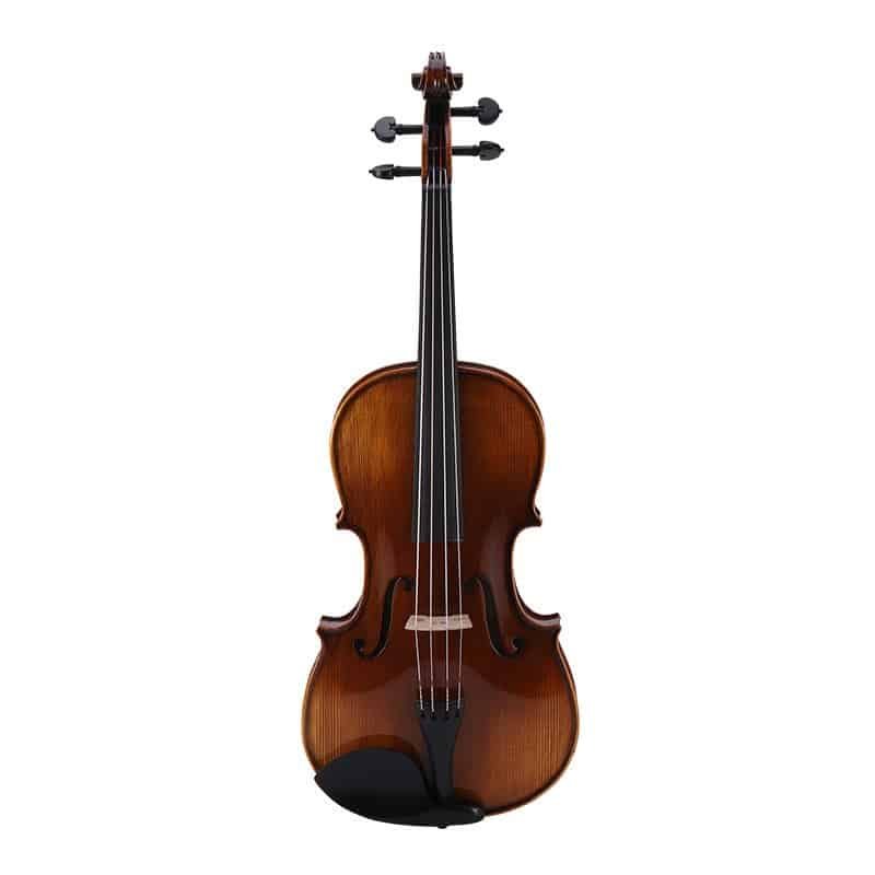 Most Expensive Viola