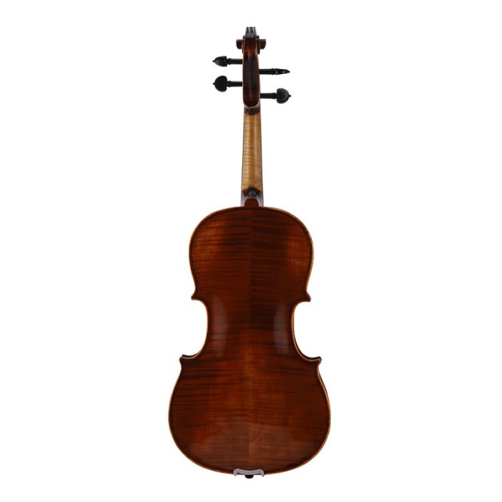 Expensive Viola