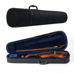 viola case