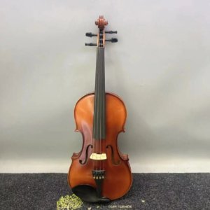 15 inch viola