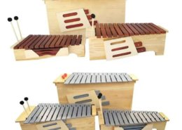 Xylophone Instrument