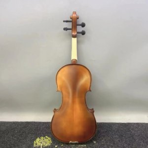 bass viola