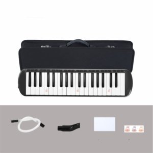 melodica musical instrument