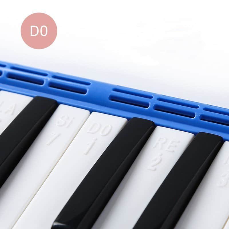 details of student melodica