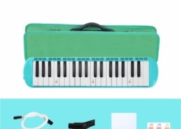 Instrument Melodica