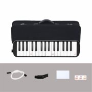 Schwarze Melodica zu verkaufen