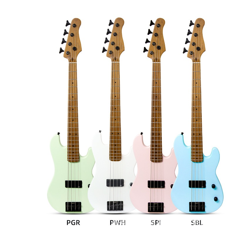 Travel Bass Travel Bass