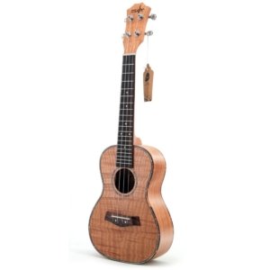 Anfänger-Ukulele Anfänger-Ukulele