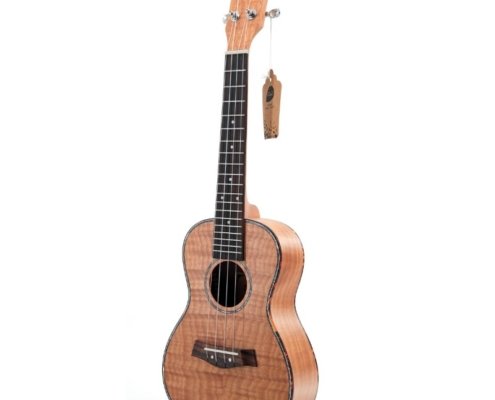 beginner ukulele